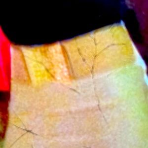 Bebe belt size small